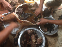 [ẢNH] Rợn người với 9 món ăn 