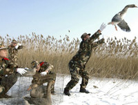 [ẢNH] Những điều kỳ lạ chỉ có thể xảy ra ở Trung Quốc