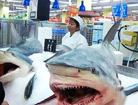 [ẢNH] Những điều kỳ lạ chỉ có thể xảy ra ở Trung Quốc