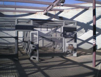 Xem cảnh sát Mỹ áp tải trùm ma túy khét tiếng El Chapo về trại biệt giam