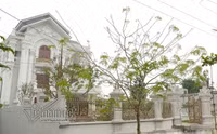 [ẢNH] Choáng ngợp trước những 