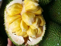 [ẢNH] Những đại kỵ khi ăn mít cần biết để tránh 