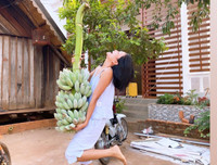 [ẢNH] Sao Việt làm gì trong những ngày nghỉ vì đại dịch Covid-19?