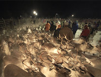 [ẢNH] Những vùng đất 'thiếu mặt trời' nhưng vẫn đẹp say lòng người