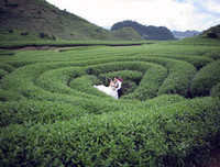 [ẢNH] 9 địa điểm du lịch ở Mộc Châu 