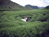 [ẢNH] 9 địa điểm du lịch ở Mộc Châu 