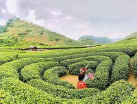 [ẢNH] 9 địa điểm du lịch ở Mộc Châu 