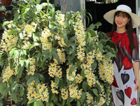 [ẢNH] Những phụ nữ 