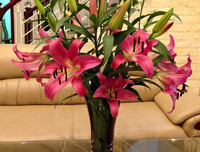 [ẢNH] Những bí quyết giúp hoa tươi lâu trong ngày Tết