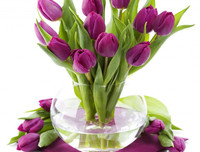 [ẢNH] Những bí quyết giúp hoa tươi lâu trong ngày Tết