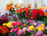 [ẢNH] Những bí quyết giúp hoa tươi lâu trong ngày Tết