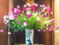 [ẢNH] Những bí quyết giúp hoa tươi lâu trong ngày Tết