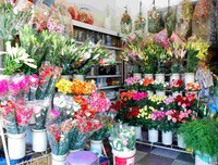 [ẢNH] Những bí quyết giúp hoa tươi lâu trong ngày Tết