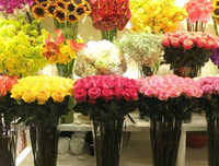 [ẢNH] Những bí quyết giúp hoa tươi lâu trong ngày Tết