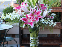 [ẢNH] Cảnh giác với những loài hoa, cây cảnh cực đẹp nhưng cũng cực độc trong dịp Tết