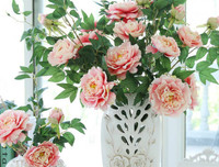 [ẢNH] Những bí quyết giúp hoa tươi lâu trong ngày Tết