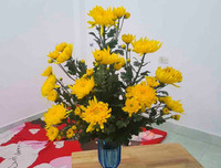 [ẢNH] Những bí quyết giúp hoa tươi lâu trong ngày Tết