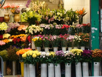 [ẢNH] Những bí quyết giúp hoa tươi lâu trong ngày Tết