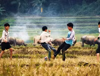 [ẢNH] Gợi cả trời thương nhớ với những hình ảnh mang ký ức tuổi thơ