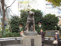 [ẢNH] Điểm danh những chú chó 