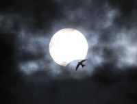 [ẢNH] Chiêm ngưỡng Nhật thực đẹp hiếm có tại nhiều nơi trên thế giới