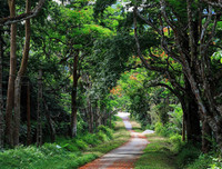 [ẢNH] Nghỉ Tết dương 