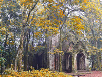 [ẢNH] Nghỉ Tết dương 