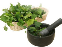 [ẢNH] Hạ sốt an toàn cho trẻ bằng các mẹo dân gian