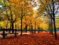 [ẢNH] Vào thu, chiêm ngưỡng 10 thành phố quyến rũ nhất châu Âu