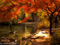 [ẢNH] Vào thu, chiêm ngưỡng 10 thành phố quyến rũ nhất châu Âu