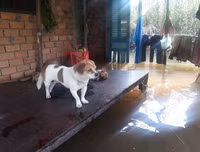 Ngập lụt tại TP Cần Thơ: Người dân khóc 