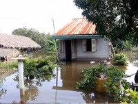 Ngập lụt tại TP Cần Thơ: Người dân khóc 