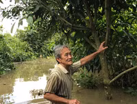 Ngập lụt tại TP Cần Thơ: Người dân khóc 