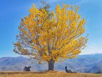 [ẢNH] Mãn nhãn bộ ảnh 1111 ngày vòng quanh thế giới bằng xe máy của Trần Đặng Đăng Khoa (P1)