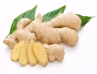 Bí quyết đơn giản chống say tàu xe
