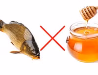 [ẢNH] Những loại thực phẩm tuyệt đối không được kết hợp với mật ong