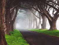 [ẢNH] Chiêm ngưỡng những đường hầm đặc biệt nhất thế giới khiến nhiều người ngỡ ngàng