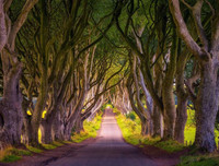 [ẢNH] Chiêm ngưỡng những đường hầm đặc biệt nhất thế giới khiến nhiều người ngỡ ngàng