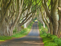 [ẢNH] Chiêm ngưỡng những đường hầm đặc biệt nhất thế giới khiến nhiều người ngỡ ngàng