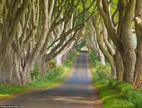 [ẢNH] Chiêm ngưỡng những đường hầm đặc biệt nhất thế giới khiến nhiều người ngỡ ngàng