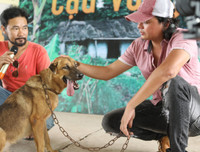 [ẢNH] Nguyên do khiến chó ta 