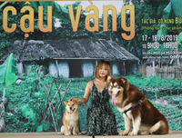 [ẢNH] Nguyên do khiến chó ta 