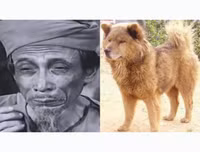 [ẢNH] Nguyên do khiến chó ta 