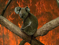 [ẢNH] Lời sấm truyền của Vanga lại một lần nữa chính xác: Virus Corona có thể được khống chế