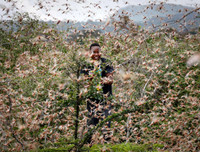 [ẢNH] Lời sấm truyền của Vanga lại một lần nữa chính xác: Virus Corona có thể được khống chế