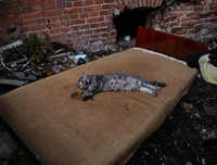 [ẢNH] Nhìn lại những khoảnh khắc 