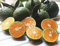 [ẢNH] Những lợi ích bất ngờ khi uống nước cam mỗi ngày