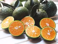 [ẢNH] Những lợi ích bất ngờ khi uống nước cam mỗi ngày