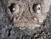 [ẢNH] Chiêm ngưỡng những loài cá kỳ lạ dưới đáy đại dương