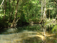 [ẢNH] Chiêm ngưỡng vẻ đẹp của 4 Vườn Di sản ASEAN mới tại Việt Nam